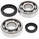 All Balls, Ramlagersats, Honda 86-07 CR125R All Balls, Ramlagersats, Honda 86-07 CR125R