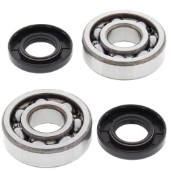 All Balls, Ramlagersats, Kawasaki 01-25 KX85, 00-25 KX65, 83-03 KX60, 95-16 KX100, 91-00 KX80, Suzuki 03-05 RM65, 03 RM60