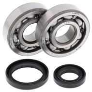 All Balls, Ramlagersats, Suzuki 02-25 RM85, 89-01 RM80