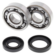 All Balls, Ramlagersats, Yamaha 01-04 YZ125 All Balls, Ramlagersats, Yamaha 01-04 YZ125