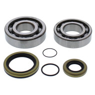 All Balls, Ramlagersats, GasGas 08-14 EC 250/EC 300, 08-09 MC 250, 18-19 XC 250 2-Stroke/XC 300 2-Stroke, 14 EC 200 All Balls, Ramlagersats, GasGas 08-14 EC 250/EC 300, 08-09 MC 250, 18-19 XC 250 2-Stroke/XC 300 2-Stroke, 14 EC 200
