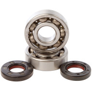 Hot Rods, Ramlagersats, Yamaha 05-25 YZ125, FANTIC 22-24 XE 125/XX 125 Hot Rods, Ramlagersats, Yamaha 05-25 YZ125, FANTIC 22-24 XE 125/XX 125