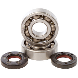 Hot Rods, Ramlagersats, Yamaha 05-25 YZ125, FANTIC 22-24 XE 125/XX 125 Hot Rods, Ramlagersats, Yamaha 05-25 YZ125, FANTIC 22-24 XE 125/XX 125