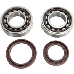Hot Rods, Ramlagersats, KTM 18-21 250 EXC-F, 16-25 250 SX-F, 16-25 350 SX-F, Husqvarna 16-21 FC 250/FE 250, 16-21 FC 350/FE 350, GasGas 21-25 MC 250F, 24-25 MC 350F Hot Rods, Ramlagersats, KTM 18-21 250 EXC-F, 16-25 250 SX-F, 16-25 350 SX-F, Husqvarna 16-21 FC 250/FE 250, 16-21 FC 350/FE 350, GasGas 21-25 MC 250F, 24-25 MC 350F